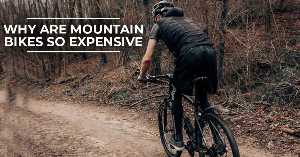 Why Are Mountain Bikes So Expensive